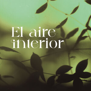 El aire interior - Marcela Inés Neme