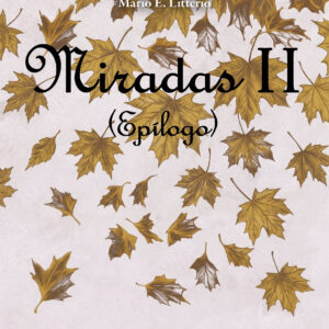 Miradas II (Epílogo) - Mario E. Litterio