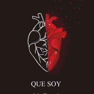 Portada del libro Todos los instantes que soy de Sofía Fernandez.