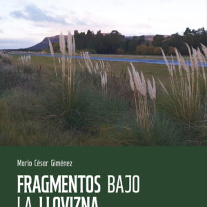 Portada del libro Fragmentos bajo la llovizna de Mario César Giménez.