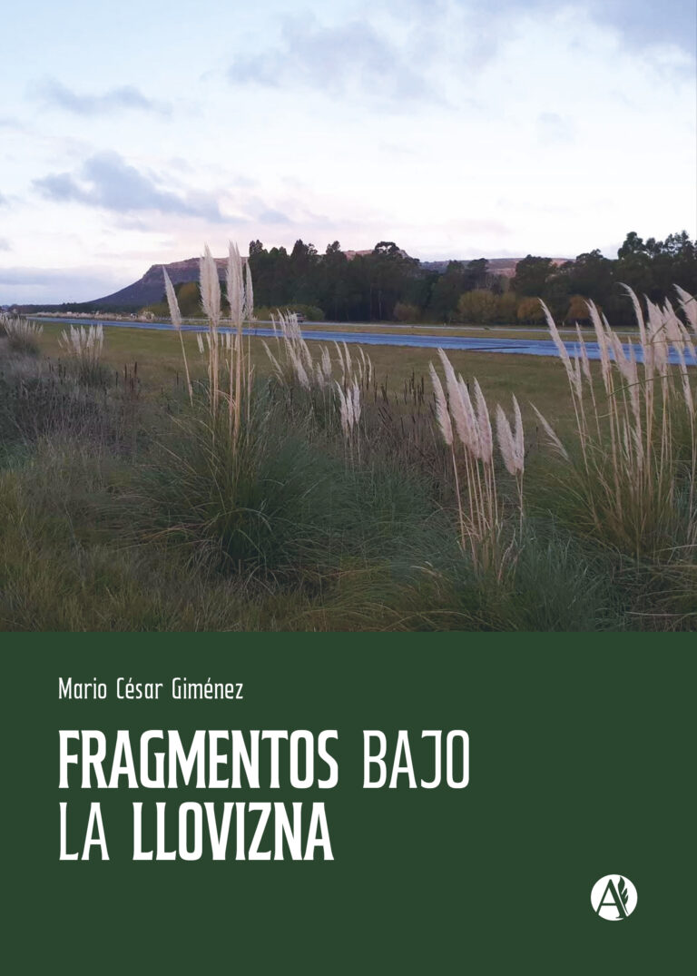 Portada del libro Fragmentos bajo la llovizna de Mario César Giménez.